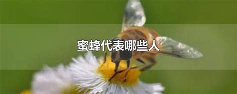 蜜蜂代表什么 一個人過生日